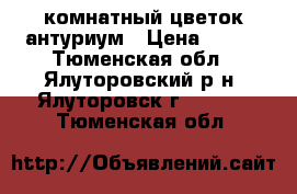 комнатный цветок антуриум › Цена ­ 450 - Тюменская обл., Ялуторовский р-н, Ялуторовск г.  »    . Тюменская обл.